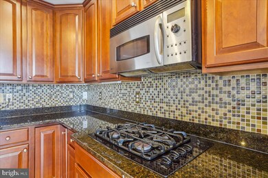 627 Kingfisher Ave, Gaithersburg, MD 20877 - photo 6