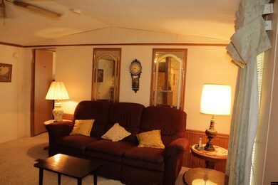 661 Nubbin Ridge Rd unit 31, Lakeview, AR 72642 - photo 3