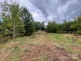 325 Grandview Rd, Clover, SC 29710 - photo 4