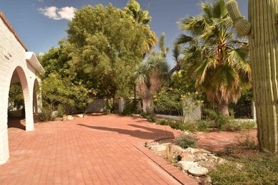 Backyard Oasis