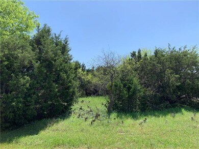 16074 Faircrest Dr, Whitney, TX 76692 - photo 5