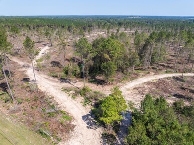 16.27 +/- Acres Shirley Sanford Rd, Seminary, MS 39429 - photo 5
