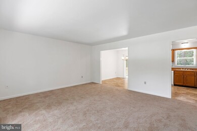 423 Albany St, Fredericksburg, VA 22407 - photo 5