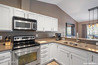 Solid surface counters, SS Appliances