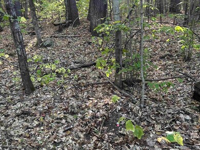 NH New Hampshire Route 175, Thornton, NH 03223 - photo 3