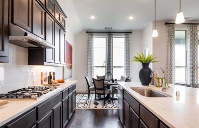 827 Langholm Dr, Celina, TX 75009 - photo 7