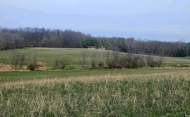 TBD W 25 N, Albion, IN 46701 - photo 3