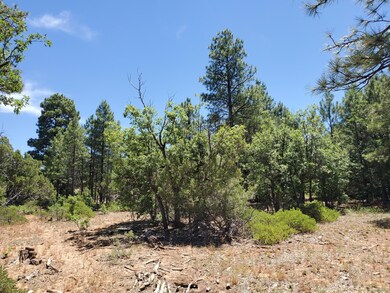 1151 S Falling Leaf Road