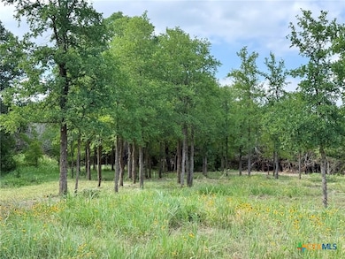 2887 Cr 255 - Family Compound, Georgetown, TX 78633 - photo 5