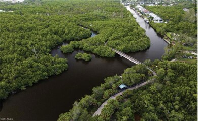 The Gordon River