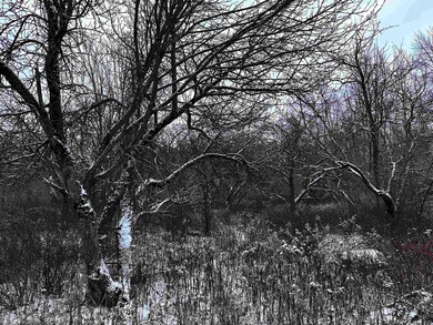 01 Matthew Dr, Birnamwood, WI 54414 - photo 4