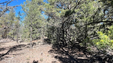 0 Paradise Loop unit 25411750, Quemado, NM 87829 - photo 3