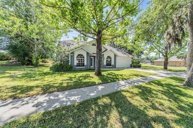 Mature landscaped lawn