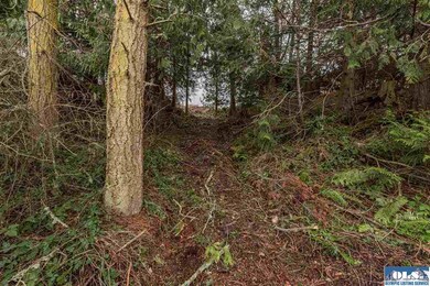 9999 Lupine Dr, Sequim, WA 98382 - photo 4