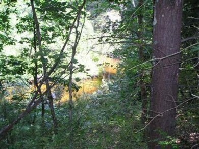 0 Fern unit 14009166, Baldwin, MI 49304 - photo 3