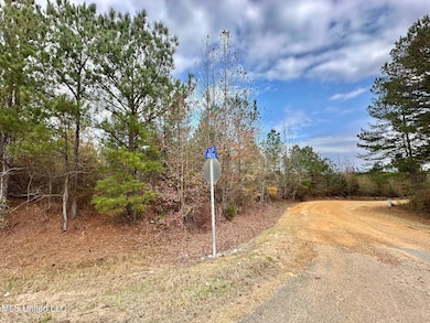 6 County Road 3122, McCool, MS 39108 - photo 7