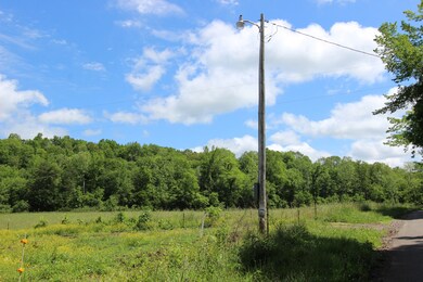 144 Hurricane Creek Dr, Tennessee Ridge, TN 37178 - photo 6