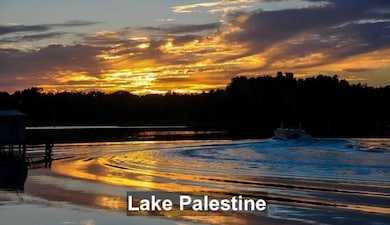 179 Byron Ct, Shadybrook, TX 75757 - photo 5