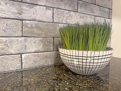 Granite Counters and Tile backsplash