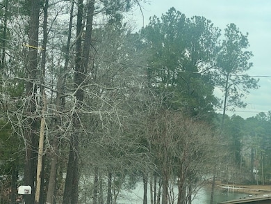 0000 Sunshine Dr, Sparta, GA 31087 - photo 7