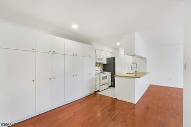 25 Steeplechase Ct unit 1125, Somerset, NJ 08873 - photo 7