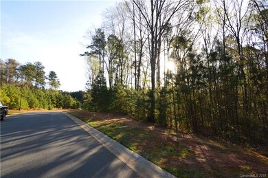 1517 Reflection Pointe Blvd unit 239, Belmont, NC 28012 - photo 3