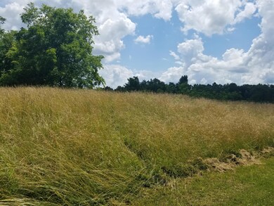 408 Baxter Ridge Rd, Lawrenceburg, KY 40342 - photo 3