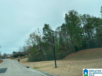 501 Timberline Trail, Calera, AL 35040 - photo 5