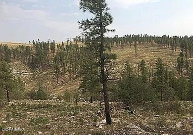 4675 Lookout Point Rd unit 117, Happy Jack, AZ 86024 - photo 4