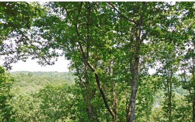 670 Toccoa Preserve Ln, Blue Ridge, GA 30513 - photo 4