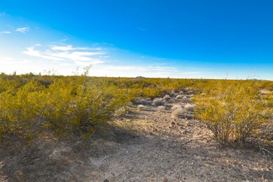 22195 El Grande Trail, Wickenburg, AZ 85390 - photo 7
