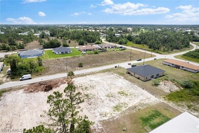 View of bird's eye view
