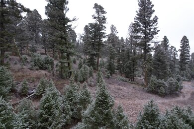 323 Trails End Ln, Helmville, MT 59843 - photo 6