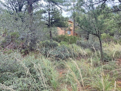 186 N Trails End Dr unit 186, Pine, AZ 85544 - photo 3