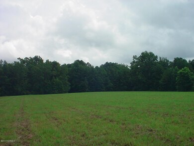 0 N Rhodes Ave, Burgaw, NC 28425 - photo 2