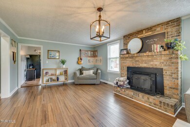 706 Hiwassee Hill Dr, Johnson City, TN 37601 - photo 7