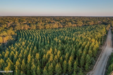 XXX Open Creek Rd unit South Lot, Chipley, FL 32425 - photo 7