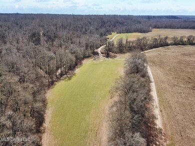 1002 Travelers Rest, Lorman, MS 39096 - photo 4