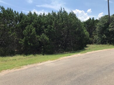 27001 Stonewood Dr, Whitney, TX 76692 - photo 3