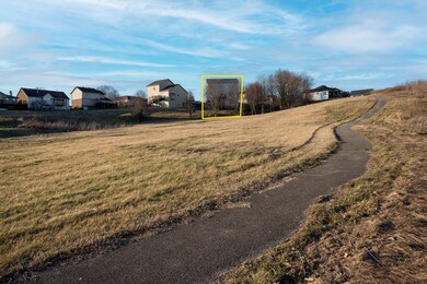 217 Hogan Dr, Frankfort, KY 40601 - photo 4