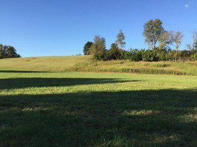 2350 Union Mill Rd, Nicholasville, KY 40356 - photo 7