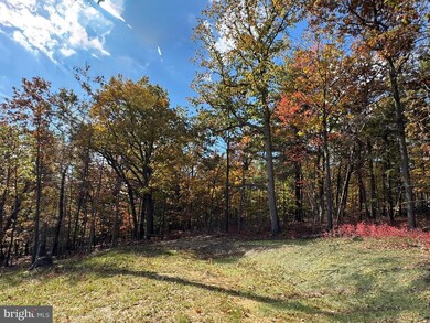 44 Markham Place, Front Royal, VA 22630 - photo 6