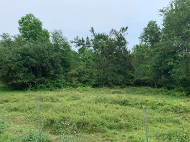 2612 County Road 160 Lot 25, Alvin, TX 77511 - photo 2