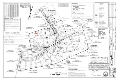Survey 2009 copy