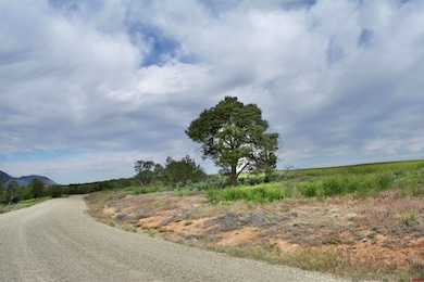 Lot 16 Road K 3, Cortez, CO 81321 - photo 3