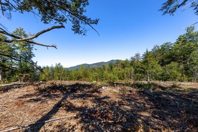 17 Sedgewood Dr, Tuftonboro, NH 03816 - photo 7