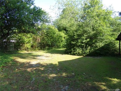 Back yard