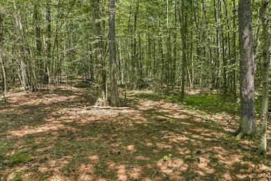 101-125 Winslow Rd, Weare, NH 03281 - photo 2