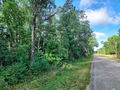 Cumberland Court Dr, Friendship, WI 53934 - photo 3