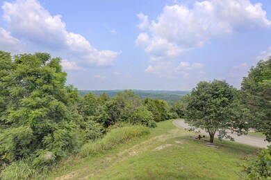 View from Swing